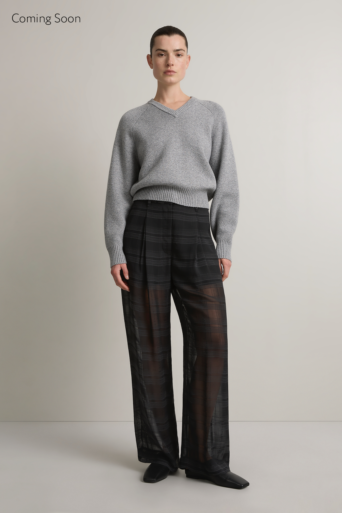 The Goddard Sheer Pant